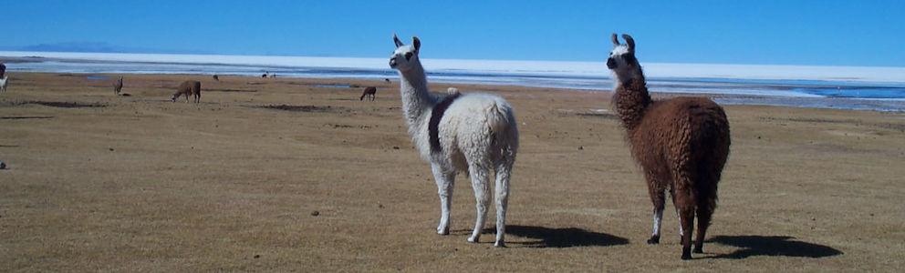 Reisavonturen Bolivia