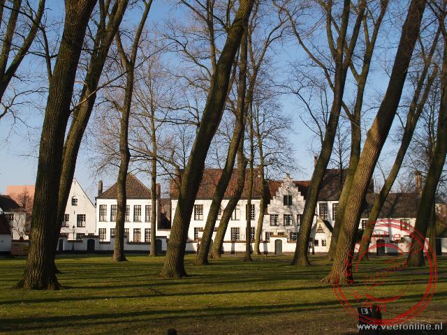 Stedentrip Brugge - De witte huizen van het Begijnhof Brugge