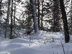 Canada: Het winterse landschap - Canada_0067.jpg - Copyright : Ronald van der Veer (http://www.veeronline.nl)