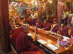 India: Monniken bidden in het Hemis klooster - India_Ladakh_0083.jpg - Copyright : Ronald van der Veer (http://www.veeronline.nl)