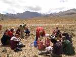 Tibet: Een unch langs de kant van de weg met op de achtergrond de besneeuwde bergtoppen - P3Tibet_0715.jpg - Copyright : Ronald van der Veer (http://www.veeronline.nl)
